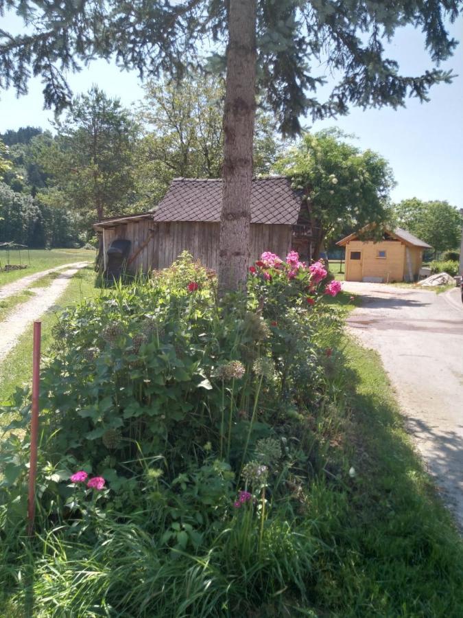 Sobe Zeleni Raj Apartment Podnart Exterior foto